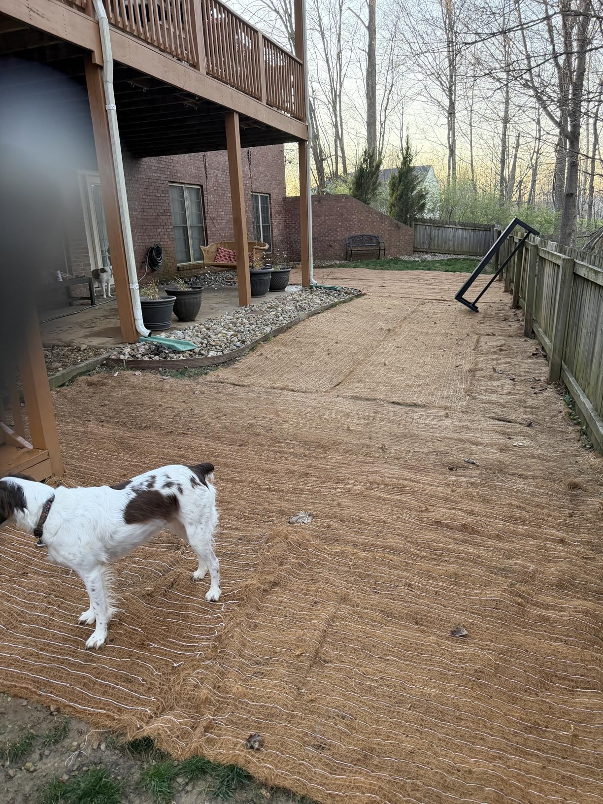 Erosionsschutzmatte (doppeltes Bio-Kokosnetz)