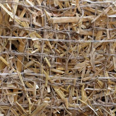 Erosion Control Blanket (double Bio net straw)
