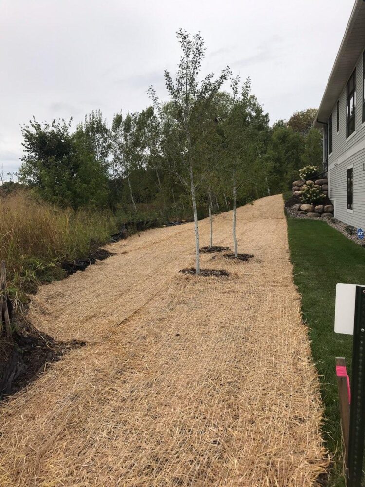 Erosion Control Blanket (single Bio net straw)